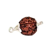 HaridwarDivine 3 Mukhi Indian Rudraksha with Silver Pendant Natural Brown Lab Certified for Men and women