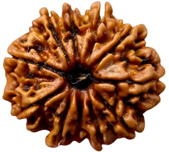 HaridwarDivine 11 Mukhi Rudraksha Pendant in Red Thread | Gayarah/Eleven Face Lab Certified - Original Rudraks for Men & Women