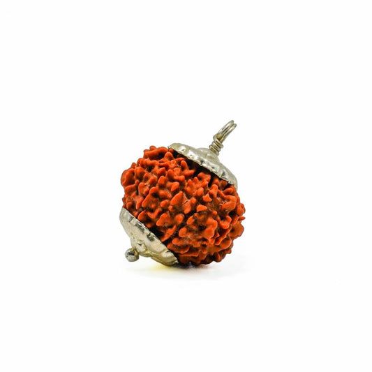 HaridwarDivine 11 Mukhi Rudraksha Pendant in Red Thread | Gayarah/Eleven Face Lab Certified - Original Rudraks for Men & Women
