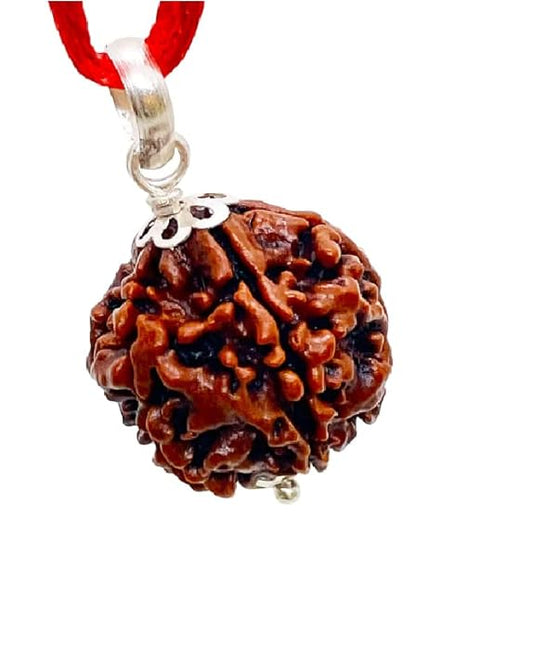 HaridwarDivine 5 Mukhi Rudraksha 5 Mukhi Rudraksha Original Certified Nepali Pendant 5 Face 16mm 5 मुखी पांच रुद्राक्ष मुखी नेपाली रुद्राक्ष Five Mukhi