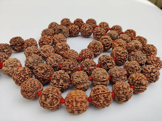5Mukhi 11mm-13mm 54 Beads Rudraksha Mala Power of Lord Shiva Natural Brown Rudraksha Beads
