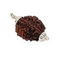HaridwarDivine 2 Mukhi/Faced Indian Rudraksha with Silver Pandant | Natural & Certified | Astrological Two Mukhi/Faced Rudraksha