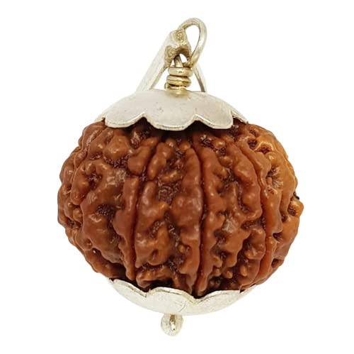 HaridwarDivine 8 Mukhi Rudraksha Nepal Original Certified Unisex Silver Pendant - Brown