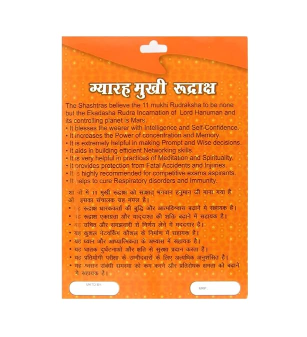HaridwarDivine 11 Mukhi Rudraksha Nepali/Eleven Faced Rudraksha Pendant Original Certified