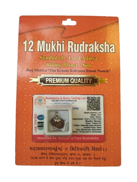 HaridwarDivine Nepali Rudraksha With 925 Silver Pendant | Natural & Certified | Unisex Both for Men & Women